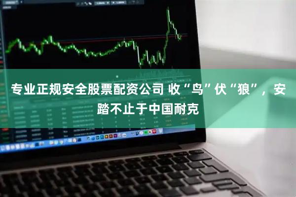 专业正规安全股票配资公司 收“鸟”伏“狼”，安踏不止于中国耐克