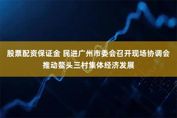 股票配资保证金 民进广州市委会召开现场协调会推动鳌头三村集体经济发展